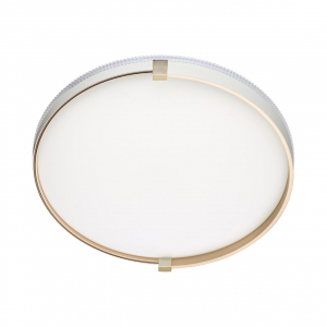 Настенно-потолочный светодиодный светильник Sonex Pale Olidi White 7646/DL