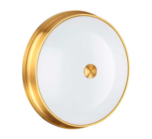 Настенно-потолочный светильник Odeon Light Walli Marsei 4824/4C