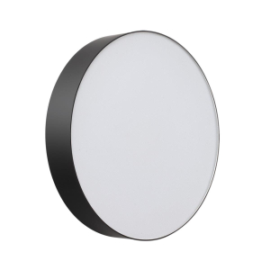 Настенно-потолочный светильник Sonex BASICA 7780/DLN