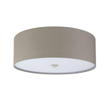 Потолочный светильник Eglo Pasteri 94919