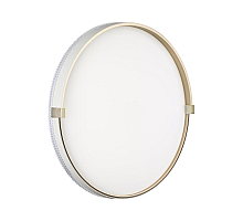 Настенно-потолочный светильник Sonex OLIDI WHITE 7646/DLN