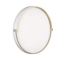 Настенно-потолочный светильник Sonex OLIDI WHITE 7646/DLN