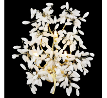 Настенный светильник WERTMARK DOROTHY WE193.03.401