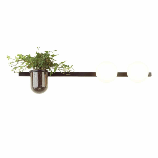 Настенный светильник Odeon Light Walli Flower 4681/2W Настенный светильник Odeon Light Walli Flower 4681/2W