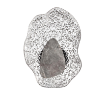 Настенный светодиодный светильник Odeon Light Coralla L-Vision 5461/12WLB