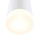 Настенный светильник Maytoni Dafne C027WL-L10W