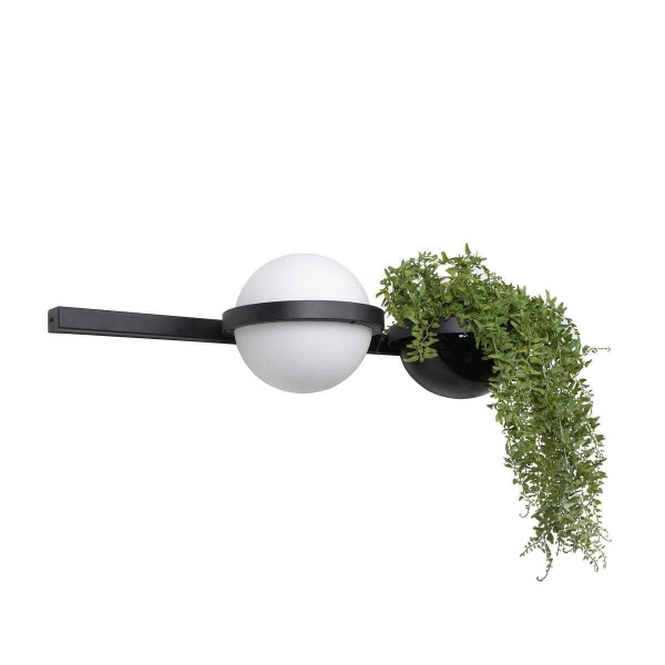 Настенный светильник LOFT IT Jardin 10121W/A Настенный светильник LOFT IT Jardin 10121W/A
