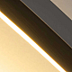 Настенный светильник Imperium Loft Guard Lux D100 Black 226530-23
