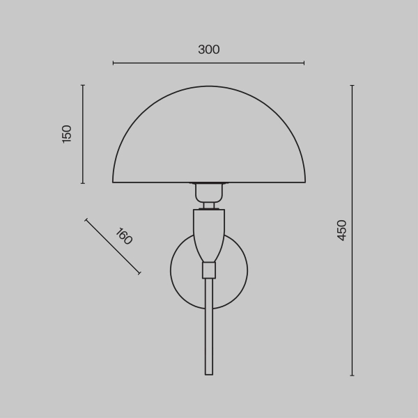 Настенный светильник Maytoni Prima Z034WL-01BS