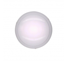 Настенный светильник Citilux Лайн CL918081