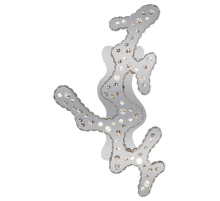 Настенный светодиодный светильник Globo Nube 67040W