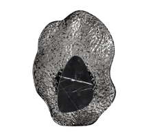 Настенный светодиодный светильник Odeon Light Coralla L-Vision 5461/12WL