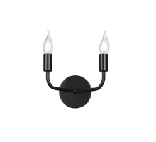 Светильник настенный Aployt Evlalia APL.338.11.02