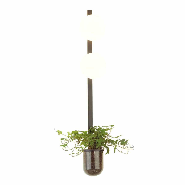 Настенный светильник Odeon Light Walli Flower 4681/2WA Настенный светильник Odeon Light Walli Flower 4681/2WA