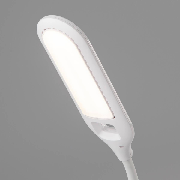 Настольная лампа Eurosvet Soft 80503/1 белый Настольная лампа Eurosvet Soft 80503/1 белый