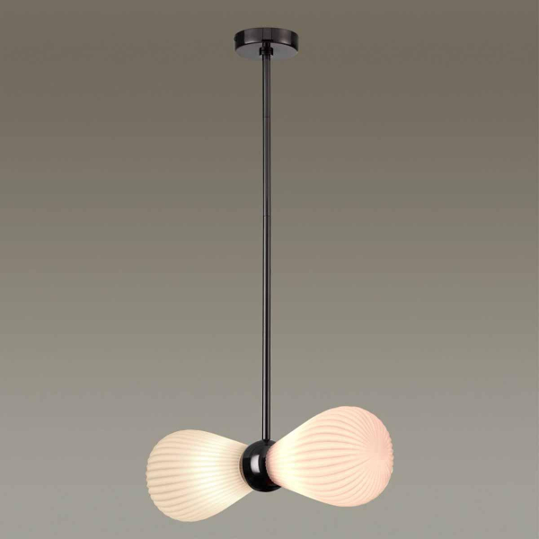 Подвесная люстра Odeon Light Exclusive Elica 5418/2 Подвесная люстра Odeon Light Exclusive Elica 5418/2