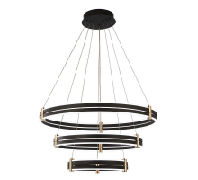 Подвесная светодиодная люстра Zortes DUBLE-R ZRS.30515.228