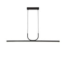 Подвесная светодиодная люстра Favourite Raya 4096-2P