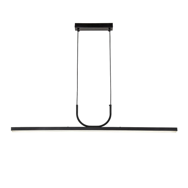 Подвесная светодиодная люстра Favourite Raya 4096-2P