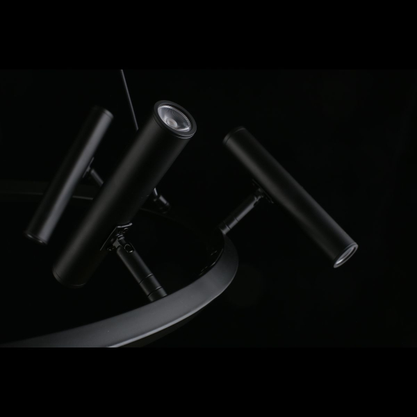 Подвесная светодиодная люстра Aployt Honor APL.067.03.40