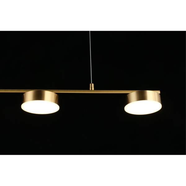 Подвесная светодиодная люстра Aployt Usia APL.047.13.35