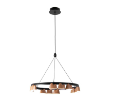 Подвесная светодиодная люстра Favourite Interline 4266-12P