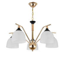 Подвесная люстра Escada Actinidia 2123/5P