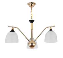 Подвесная люстра Escada Actinidia 2123/3P