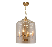 Подвесная люстра Aployt Polin APL.603.06.06