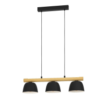 Подвесная люстра Eglo Sherburn 43739