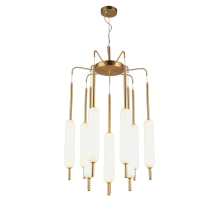 Подвесная светодионая люстра Aployt Carla APL.010.03.80