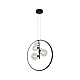 Подвесная люстра Kink Light Иона 09408-5A,19