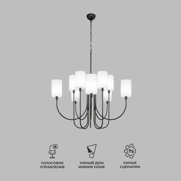 Подвесная люстра Eurosvet Abbey 60164/10 черный Smart