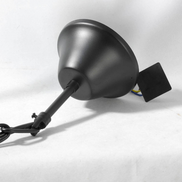 Подвесная люстра Lussole Lgo LSP-9954 Подвесная люстра Lussole Lgo LSP-9954