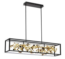 Подвесная люстра Odeon Light BILD 5065/65L