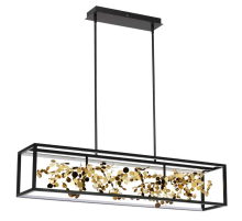 Подвесная люстра Odeon Light BILD 5065/65L