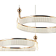 Подвесная светодиодная люстра Kink Light Риваль 08045-80+60,37