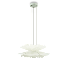 Подвесная люстра Lightera Chad LE116L-55W