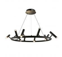 Подвесная светодиодная люстра Aployt Honor APL.067.03.50