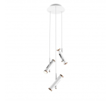 Подвесная светодиодная люстра Favourite Duplex 2325-6P