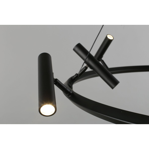 Подвесная светодиодная люстра Aployt Honor APL.067.03.50