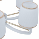 Подвесная люстра Arte Milano Florentia-2457 302457/5 Wh/Gd
