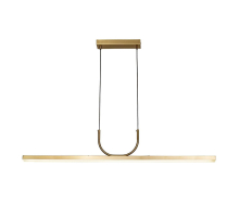 Подвесная светодиодная люстра Favourite Raya 4097-2P