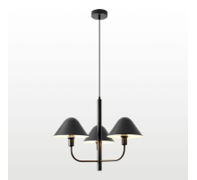 Подвесная люстра Lussole Lgo LSP-8971