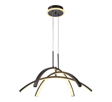 Подвесная светодиодная люстра Lussole LSP-7195