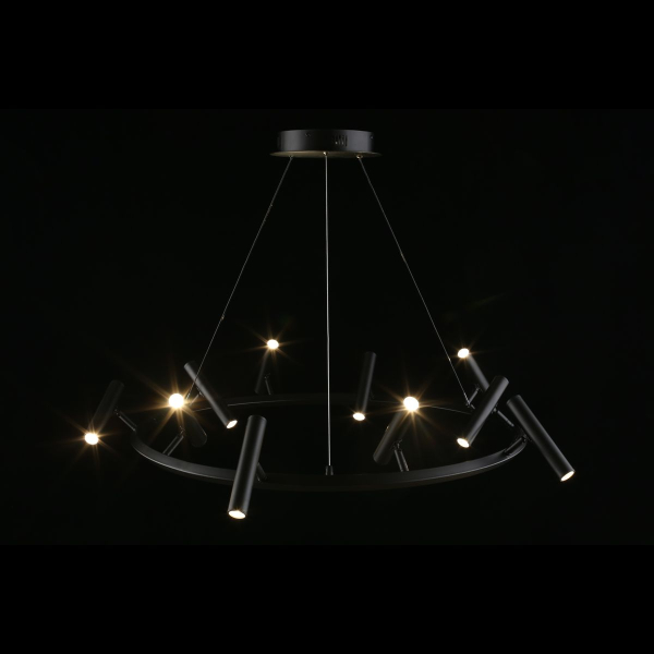 Подвесная светодиодная люстра Aployt Honor APL.067.03.50