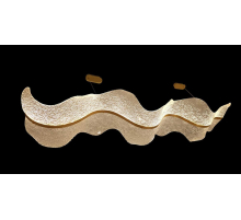 Люстра подвесная Alfa Light F0924-02