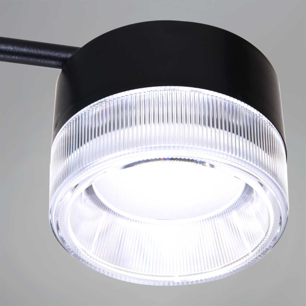 Подвесная люстра Reluce 19490-0.4-6+6 Black