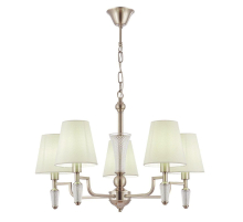 Подвесная люстра Evoluce Reimo SLE105503-05