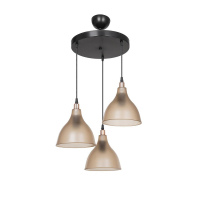 Подвесная люстра Toplight Catharine TL1658H-03AM